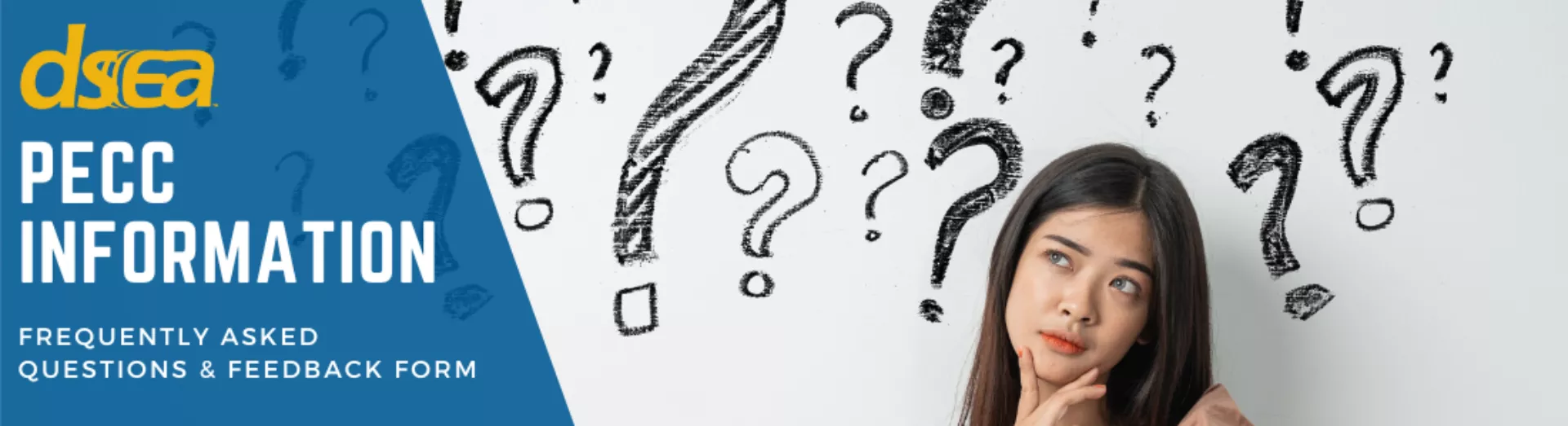 a banner that says "DSEA: PECC Information" with a woman next to the text looking curious.