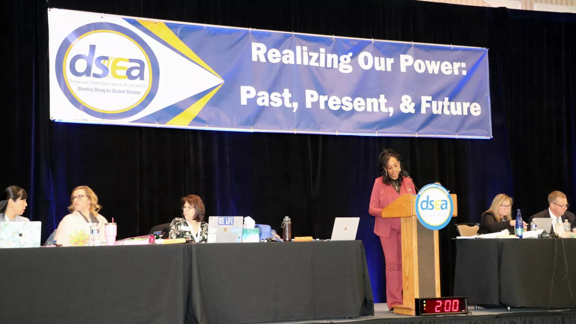 dsea representative assembly