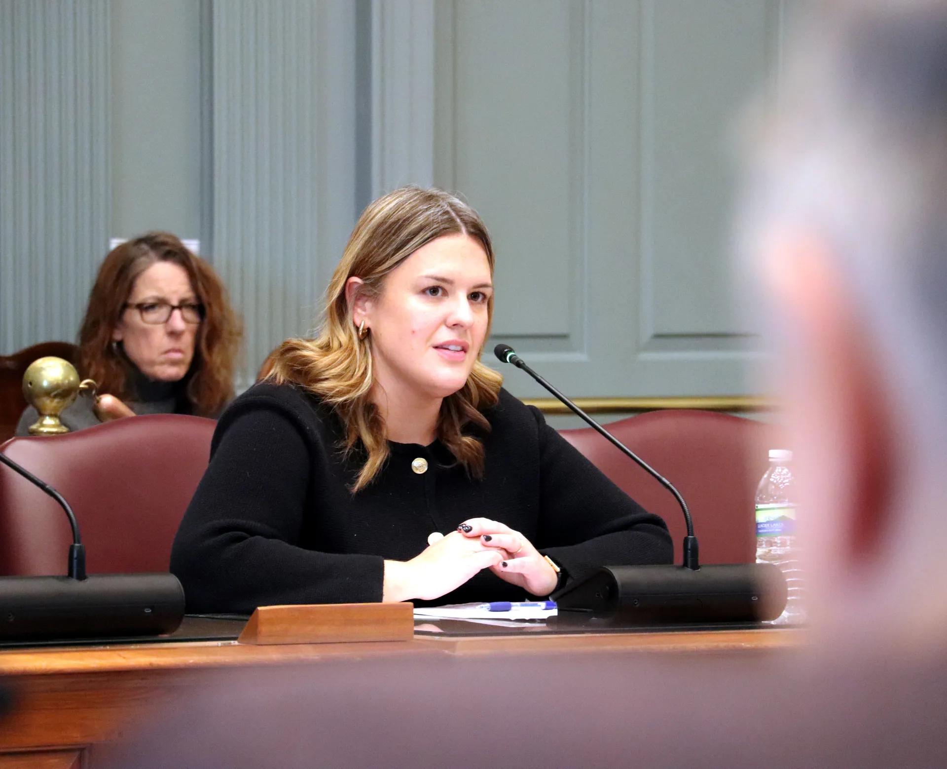 DSEA's Taylor Hawk testifies before a legislative committee